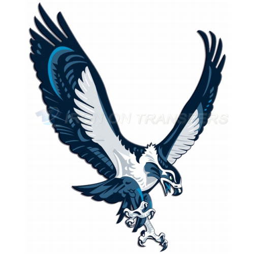 Seattle Seahawks Iron-on Stickers (Heat Transfers)NO.756